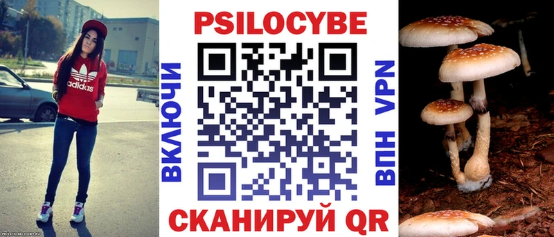Купить где  Покровск  Псилоцибиновые грибы Cubensis 